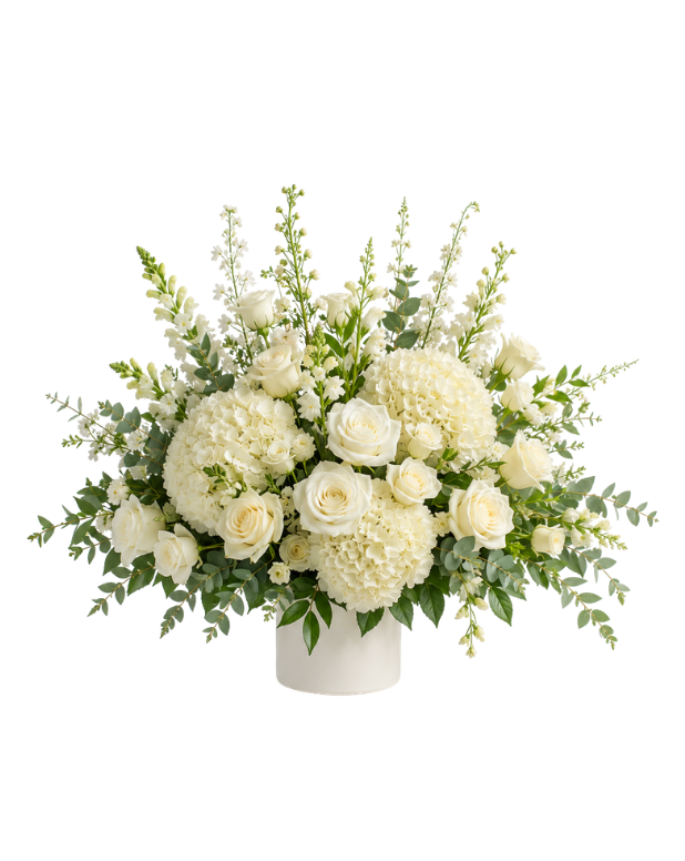 Sympathy Collection