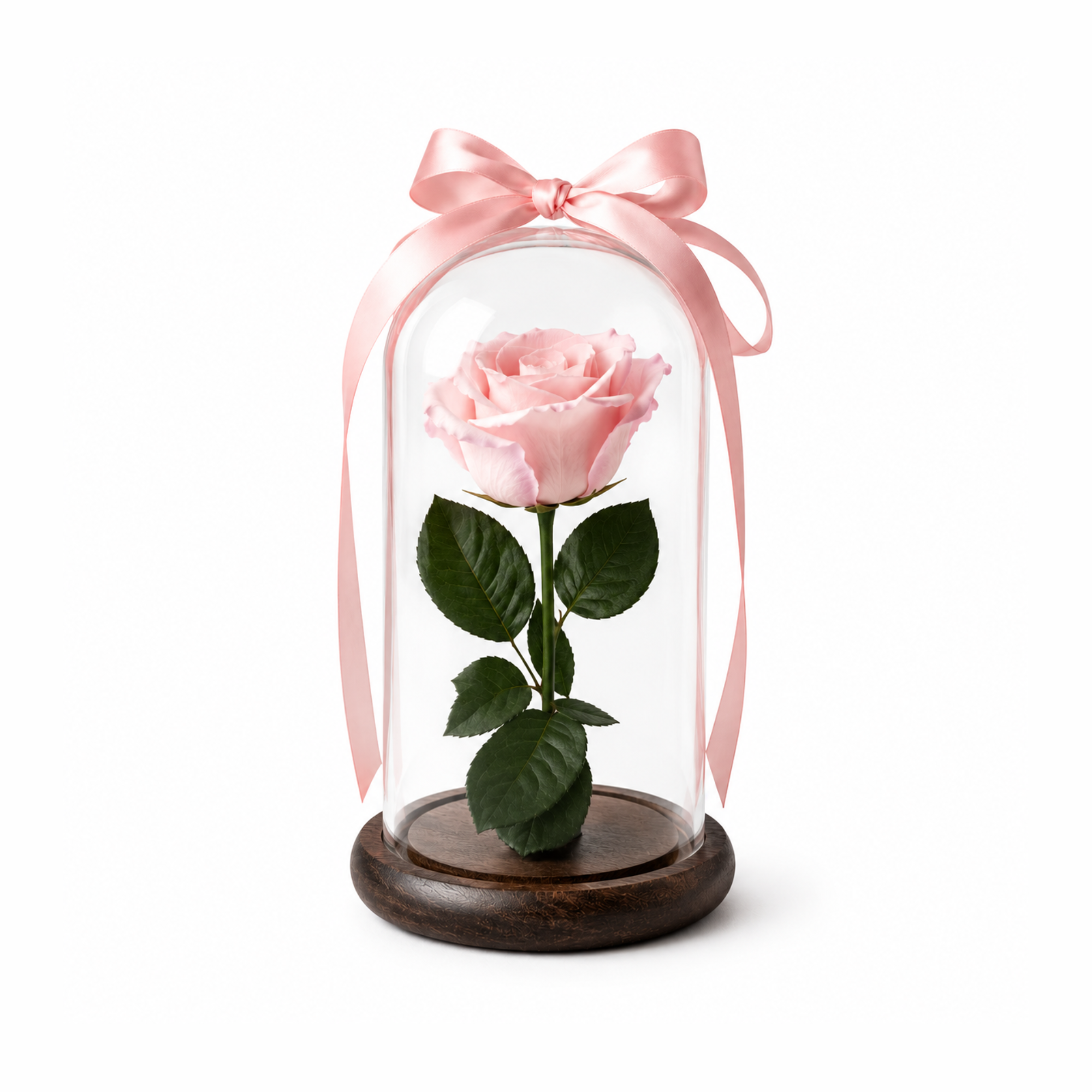 Eternal rose domes
