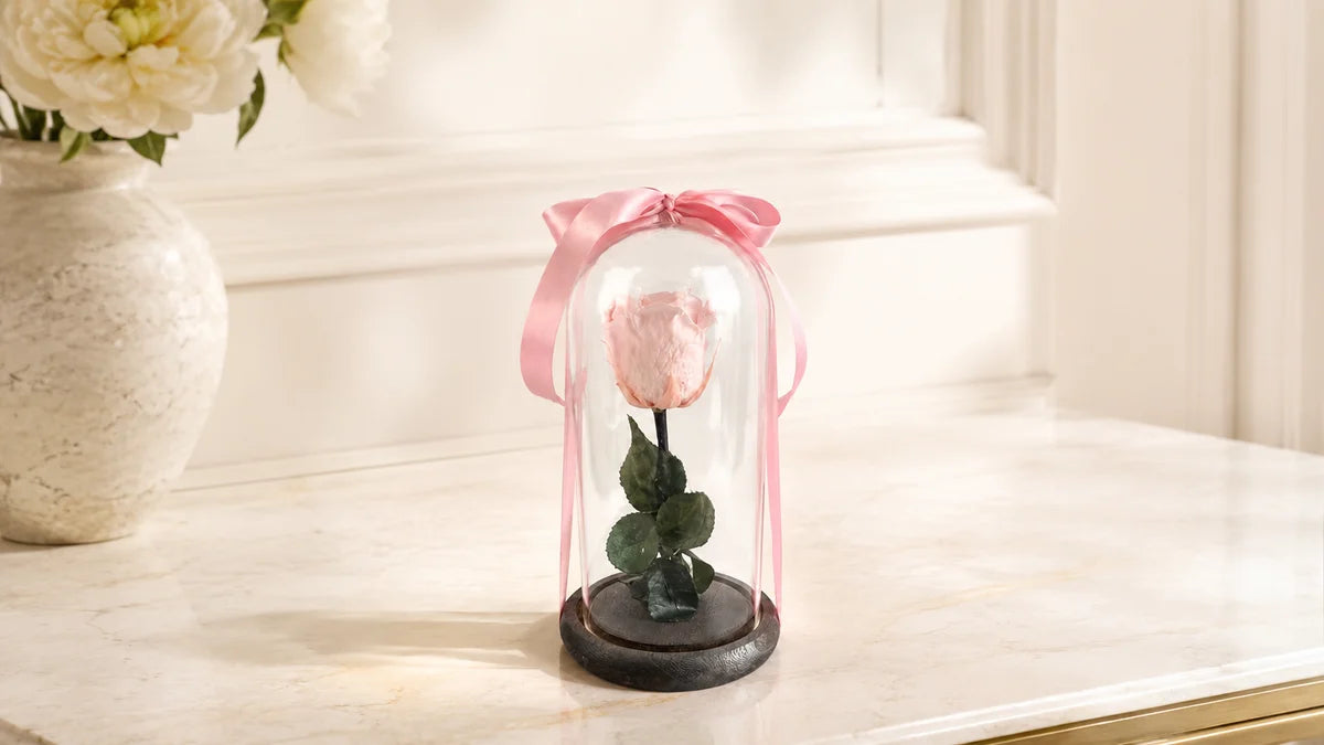 eternal roses