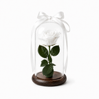 Eternal rose domes